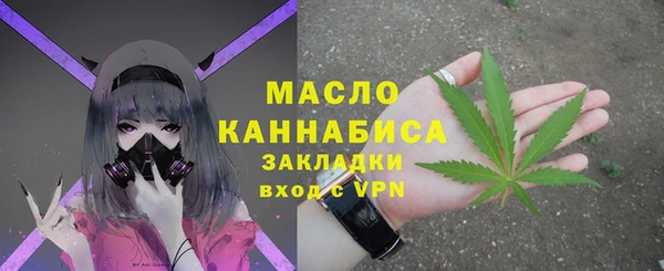 индика Горнозаводск