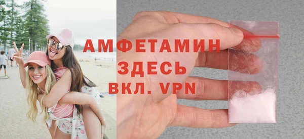 индика Горнозаводск