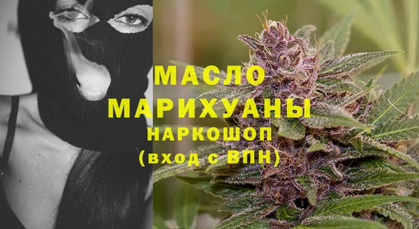 индика Горнозаводск