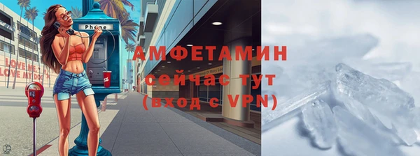 индика Горнозаводск
