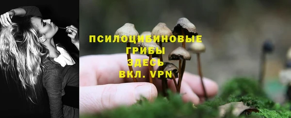 индика Горнозаводск