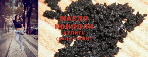 индика Горнозаводск
