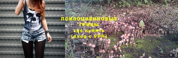мет Горно-Алтайск