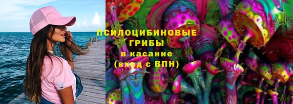 мдпв Гусиноозёрск