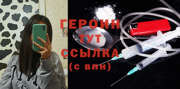 индика Горнозаводск